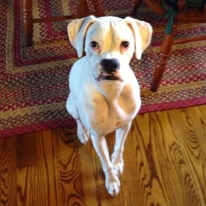 Meet your Posher, Lee